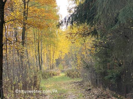 adagia 10 03 2025 park sneeuw