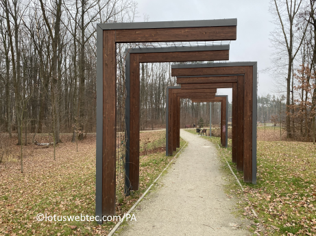 adagia 11 03 2025 park sneeuw